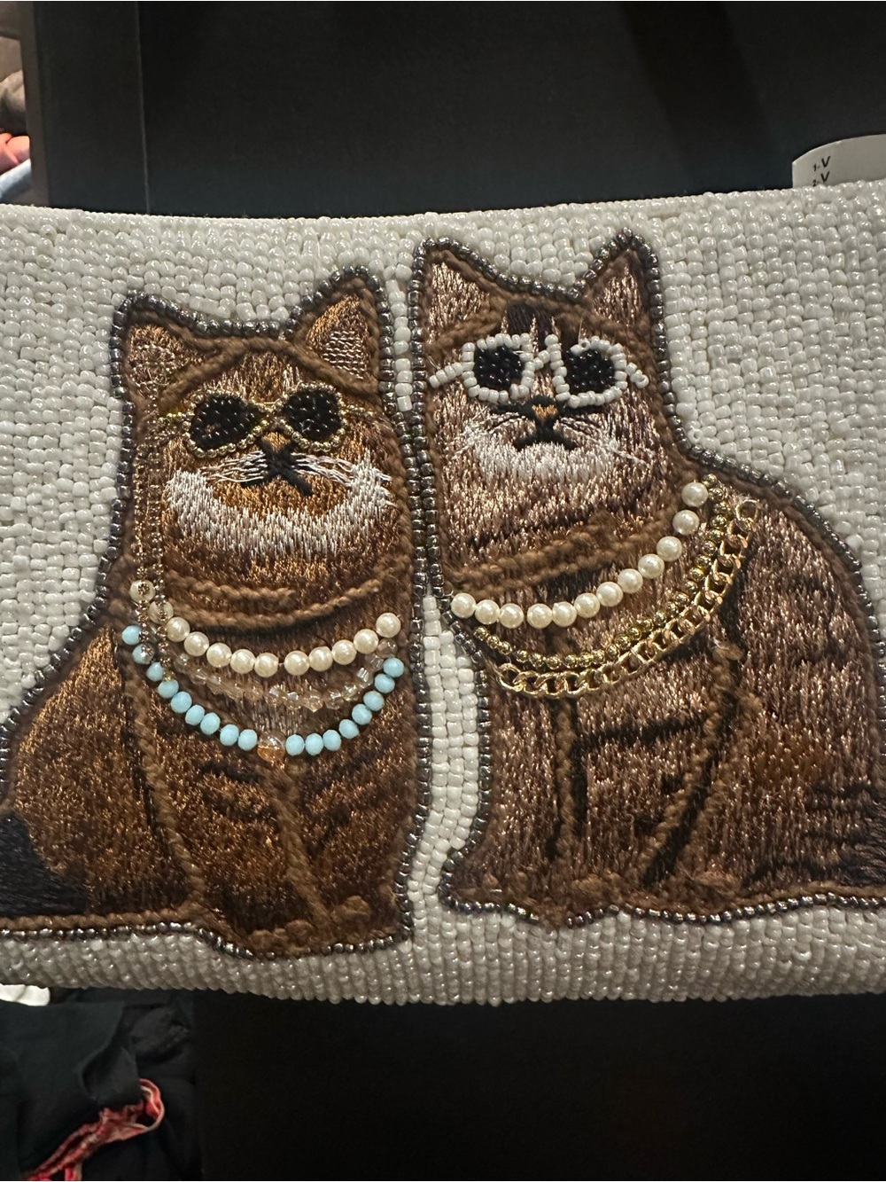 Viral Beaded Cat Purse